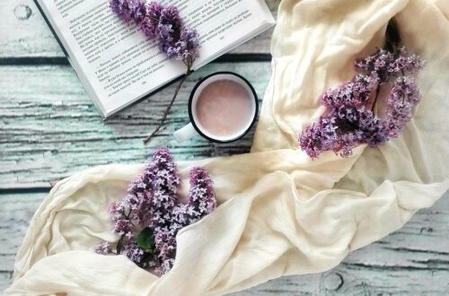 Oma tänase mõtiskluse loo - valin ennast ja oma mõistuse hääle. book, lilac, flower background, flower wallpaper, flowers, beautiful flowers, cocoa, drink, nature, reading, hobby, layout