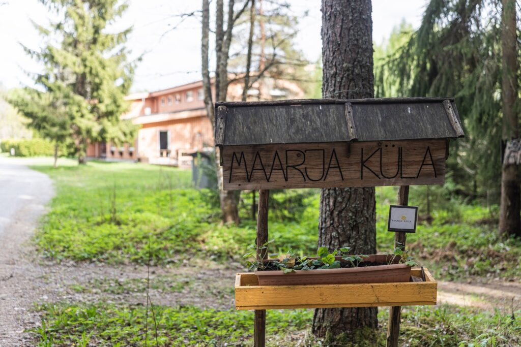 Kõige rohkem hämmastab mind hoopis teatud vaikus. 45640093 3946 4448 88a7 f091b628c0dd