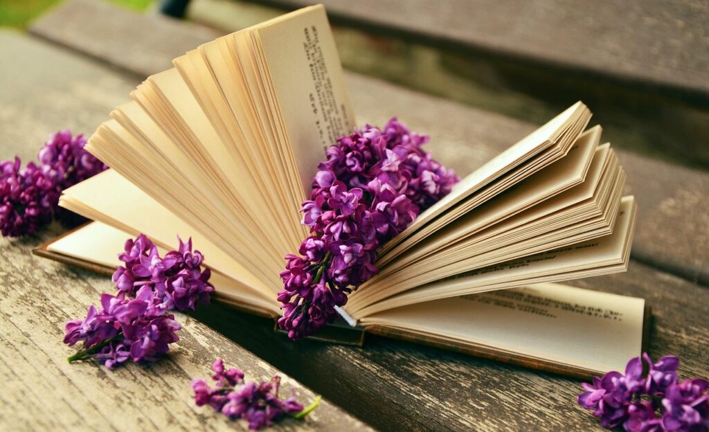 Toome tähelepanu tagasi elu ilusate asjade juurde. 🌿 a book, read, relax, lilac, bank, old, book pages, still life, browse, paper, open, leafed through, literature, relax, lilac, lilac, lilac, lilac, lilac, bank, still life, still life, still life, still life, literature