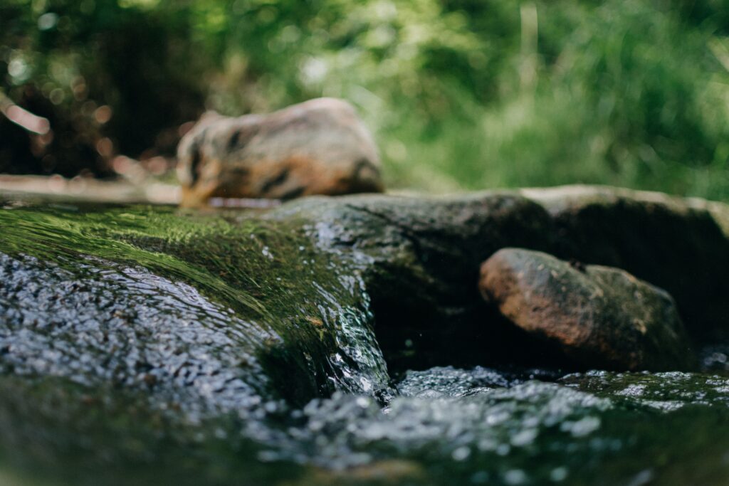 Minu nädalakokkuvõte 5.07-12.07 Peaceful stream flowing over rocks in a lush forest setting, capturing nature's serenity.