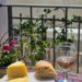 A serene balcony in Dubrovnik featuring cheese, bread, and white wine, with urban charm.