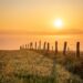 sunset, field, fence, demarcation, grass, grassland, single tree, sundown, dusk, twilight, setting sun, sky, nature, fog, landscape, clouds, meadow, horizon, sunlight, light, sun, sunset, field, fence, fence, fence, sky, nature, light, sun, sun, sun, sun, sun