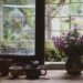 tea, nature, teacup, flowers, vase, warm tea, cup, tea ceremony, asters, beautiful flowers, tea cup, decorate, flower background, windows, flower wallpaper, peaceful