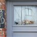 Charming doorway with cat decor in Mons, Belgium. Features ornate design and brick texture.