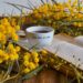 A cozy setup with tea, acacia flowers, and an open book inviting relaxation.
