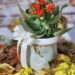 autumn decor, kalanchoe, fall leaves, cozy home, potted plant, rustic decoration, autumn flowers, indoor plant, seasonal vibe, home warmth, red flowers, home aesthetics, fall mood, natural setting, autumn still life, hygge style, indoor greenery, botanical decor, foliage background, pine cone, homemade arrangement, plant with bow, autumn cozy, cottage style, fall inspiration